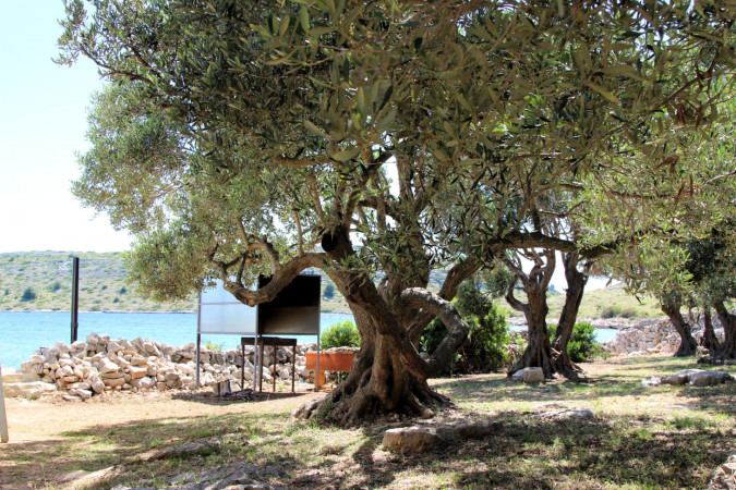 House Lantina Kornati Kornati