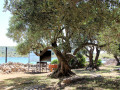 House Lantina Kornati Kornati