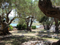 House Lantina Kornati Kornati