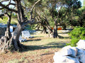 House Lantina Kornati Kornati